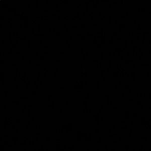 Meet your Posher, China